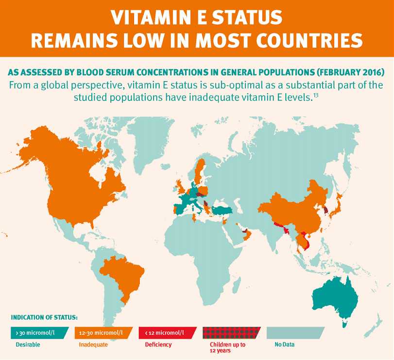 Vitamin E Status